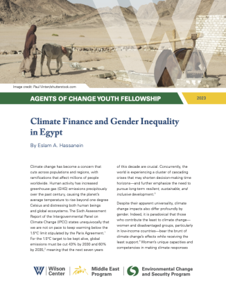 gender inequality in egypt essay